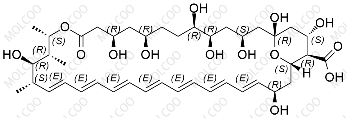 两性霉素B杂质6