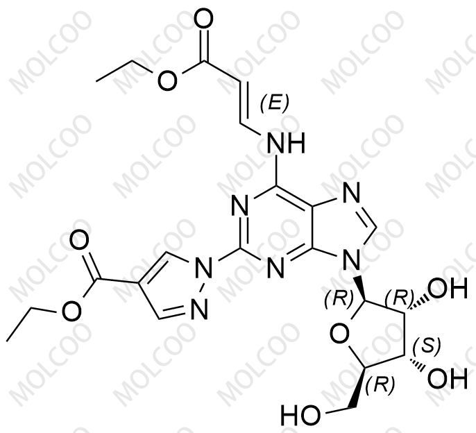 瑞加德松杂质40
