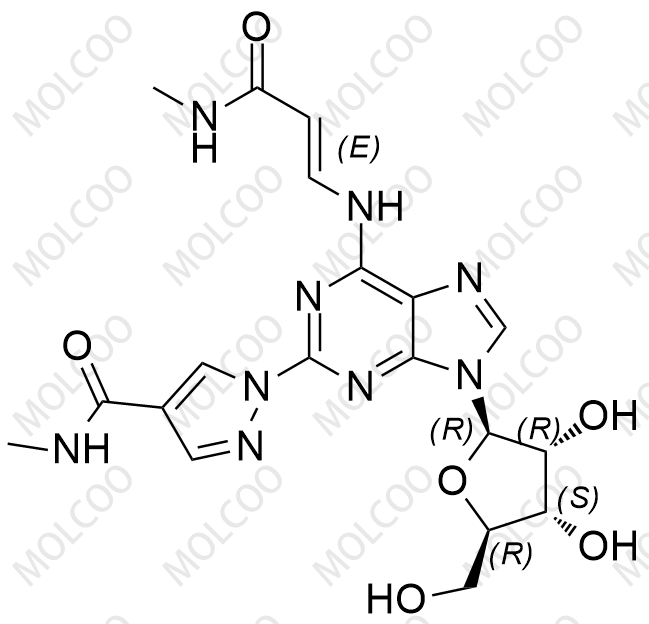瑞加德松杂质41