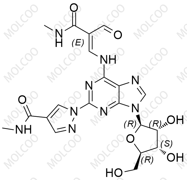 瑞加德松杂质42