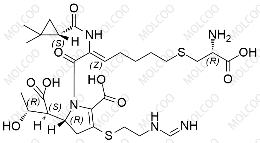 亚胺培南西司他丁加合物3